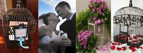 Украшение свадьбы голубями, оформление свадьбы, свадебное оформление